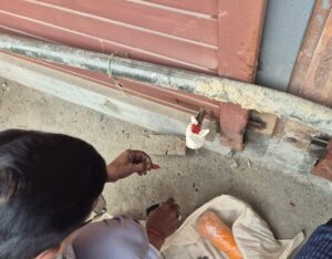 एमडीडीए का अवैध निर्माणों पर शिकंजा, देहरादून में अवैध निर्माणों के खिलाफ अभियान जारी, आजाद कॉलोनी में अवैध व्यावसायिक निर्माण सील