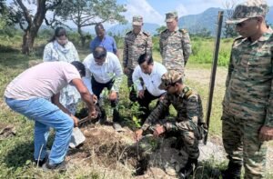 पौधे नहीं, भविष्य की हरियाली तैयार कर रहा एमडीडीए
