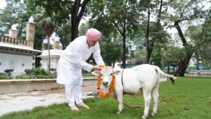 श्री गुरु राम राय विश्वविद्यालय में पहुंचीदुनिया की सबसे छोटी नस्ल की नैनो गाय